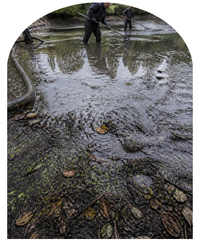 Очистка пруда в Снежинске от ила мусора и водорослей с вывозом